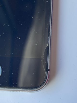 iPhone 5s Argento o rosa