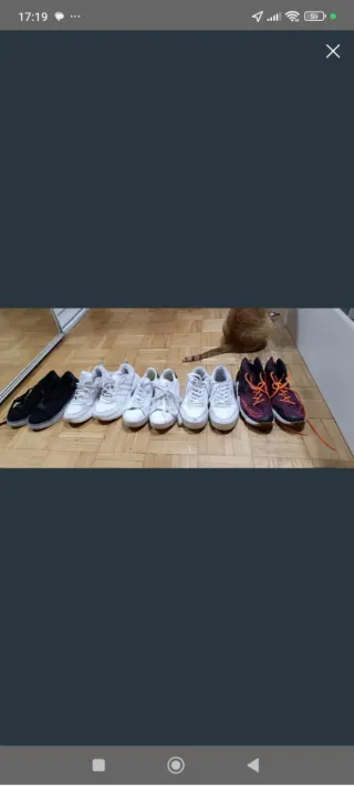 Lote de tenis