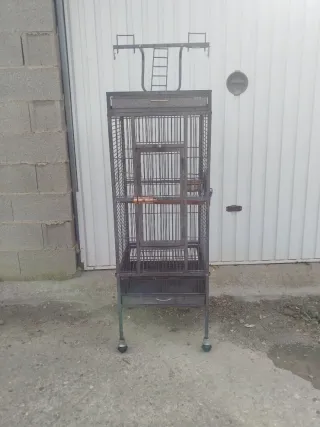 Jaula para loro mediano