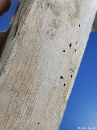 Remates Columna Policromado Fragmentos