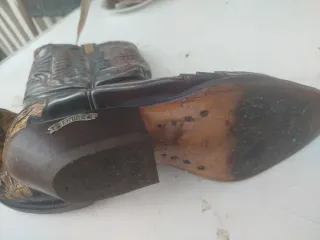 Botas Sendra Piel Serpiente Hombre Marrón/Rojo