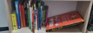 Lote de 33 libros para niños