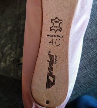 Scarpe da punta danza balletto in raso rosa Daniel