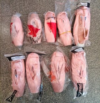 Scarpe da punta danza balletto in raso rosa Daniel