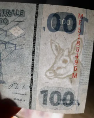 🇨🇩 Billetes Congo