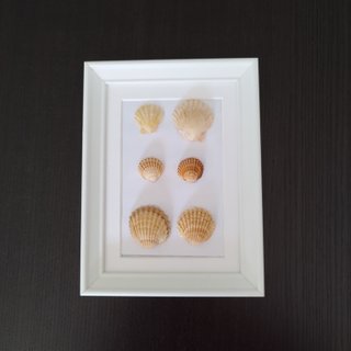 Cuadro Caracolas Naturales 15x20 - Relieve 3D Arte
