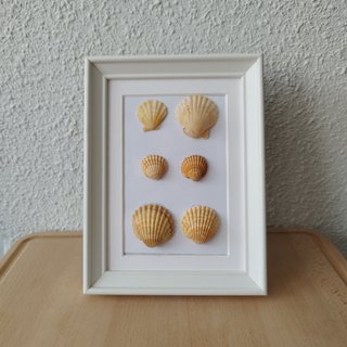 Cuadro Caracolas Naturales 15x20 - Relieve 3D Arte