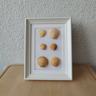 Cuadro Caracolas Naturales 15x20 - Relieve 3D Arte