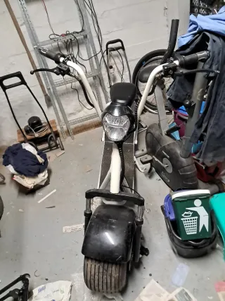 Citycoco 1000W Scooter Eléctrico