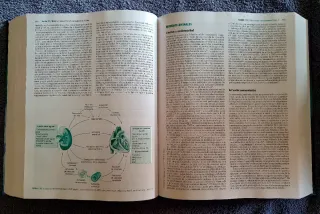 Cuidados intensivos en nefrología.  Ilustrado.