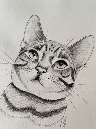Retratos personalizados de mascotas a tinta