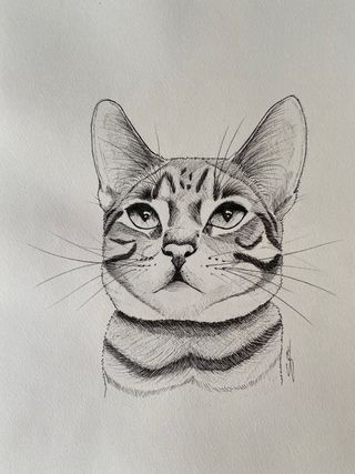 Retratos personalizados de mascotas a tinta