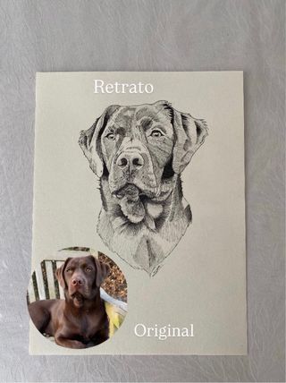 Retratos personalizados de mascotas a tinta