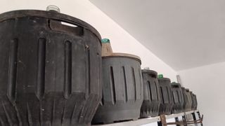 Pack 8 garrafones vino 16L