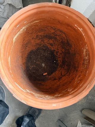 Maceta terracota con soporte metal