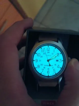 Orologio Timex Expedition Pelle Marrone/Verde