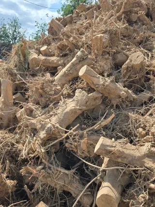 Leña para chimenea o barbacoa