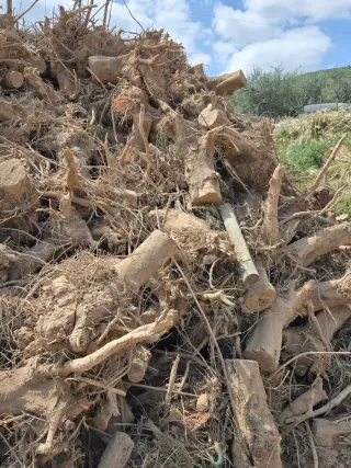 Leña para chimenea o barbacoa