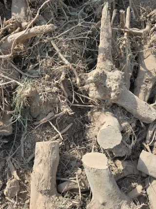 Leña para chimenea o barbacoa