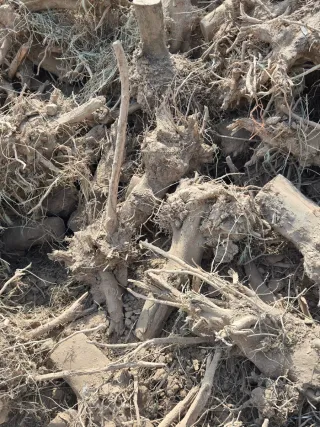 Leña para chimenea o barbacoa