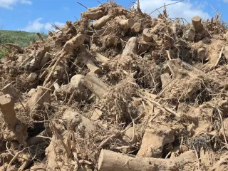 Leña para chimenea o barbacoa