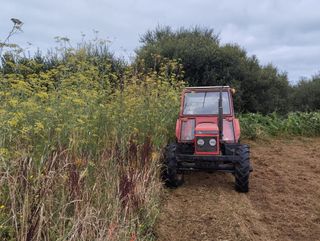 Tractores viejos y también averiados