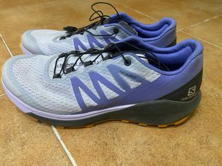 Salomon Sense Ride 4 Gris/Morado