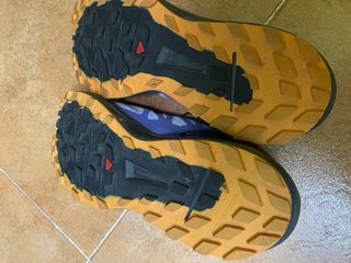 Salomon Sense Ride 4 Gris/Morado