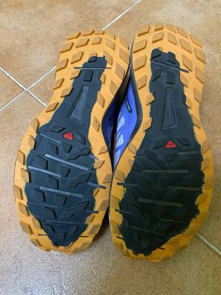 Salomon Sense Ride 4 Gris/Morado