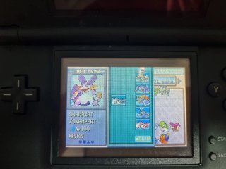 Lote Juegos Pokémon (LEER DESCRIPCIÓN)