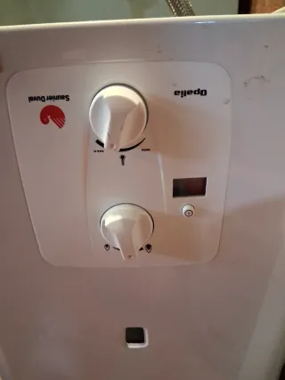 Calentador de agua a gas