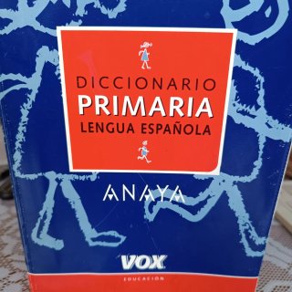Diccionario lengua española VOS