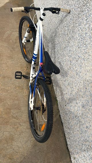 Bicicleta Specialized EN14766 Blanca y Azul