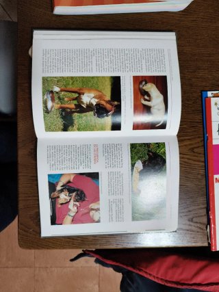 La Enciclopedia de la Educacion del Perro