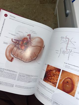 Sobotta, Atlas de anatomia humana, edicion 24º