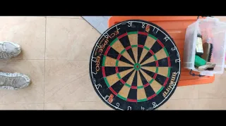 Diana de dardos profesional Unicorn Eclipse Pro