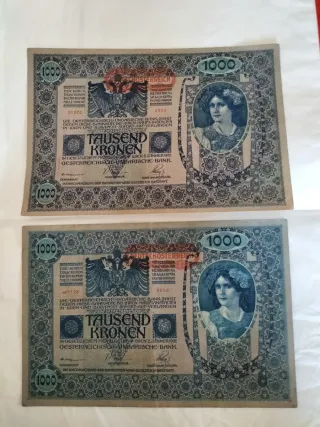 2 banconote 1000 corone austriache-sovrascritta