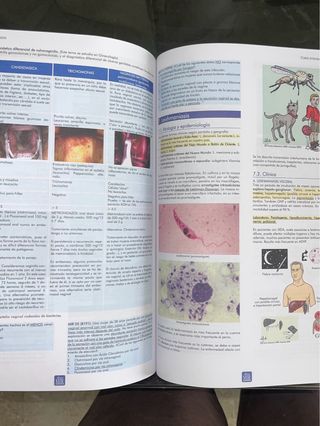 Manual enfermedades infecciosas mir asturias