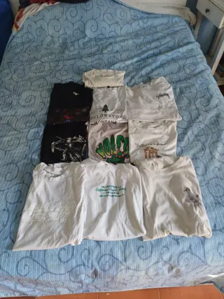 Lote 10 Camisetas Variadas Talla variadas