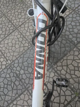 Bicicleta Focus Talla M Mujer