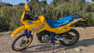 Honda Dominator Camel Trophy