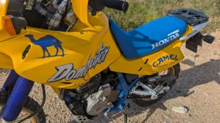 Honda Dominator Camel Trophy