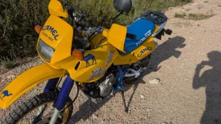 Honda Dominator Camel Trophy