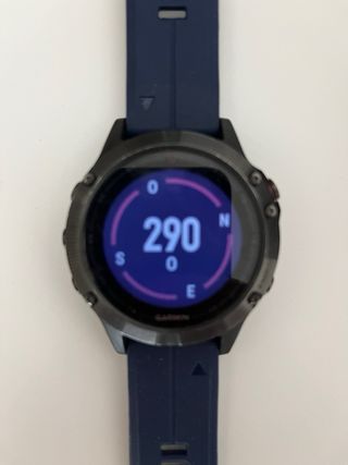 Garmin Fenix 5 Smartwatch Nero/Blu