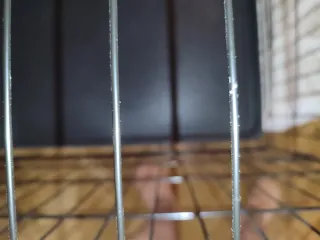 Jaula Transportín Perro Negra