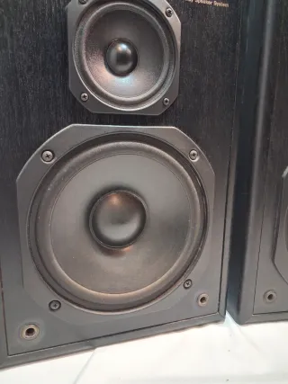 Altavoces Technics SB-CS9 3 vías