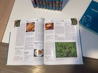 Enciclopedia de medicina natural y salud