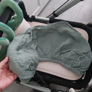 Carro Bugaboo Camaleón 3
