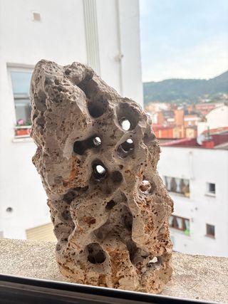 Roca Acuario Ciclidos Porosa