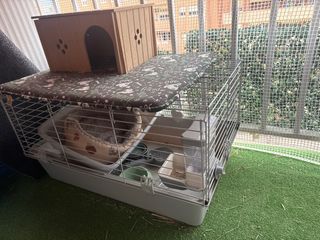 Kit para conejo: jaula y accesorios